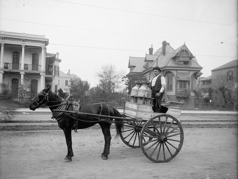 horse drawn milk cart in 1903