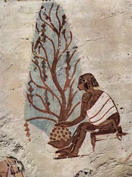 ancient egyptian havesting jujube fruit