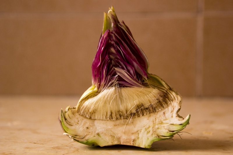 heart of the artichoke has fuzzy flower bits