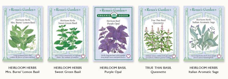 basil seed package from renees garden seeds