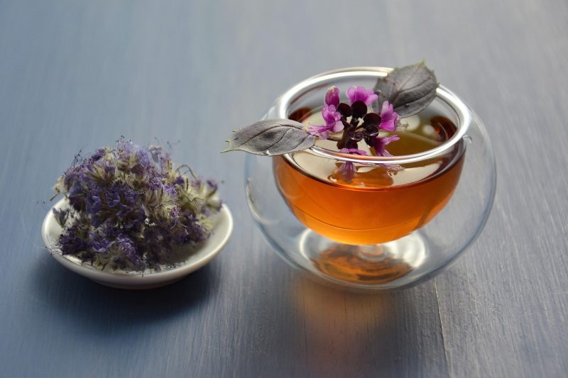 purple flowers and leaves of thai basil use to make an herbal tea