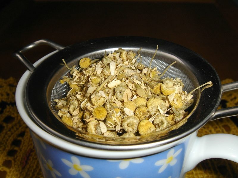 chamomile tea flowers in a strainer for making tea