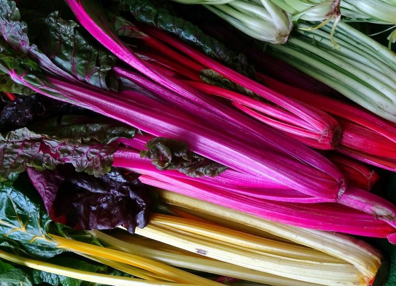 colorful chard stalks