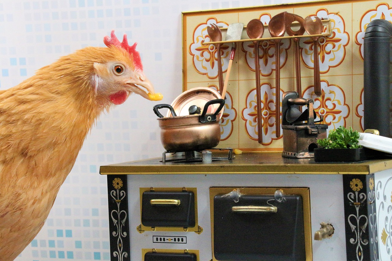 chicken adding corn to toy soup pot