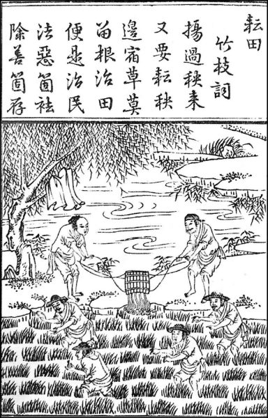 1500s black and white illustration of chinese farmers in a rice paddy
