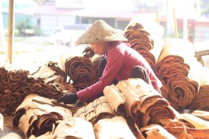 processing cinnamon in vietnam in an article on savor the southwest