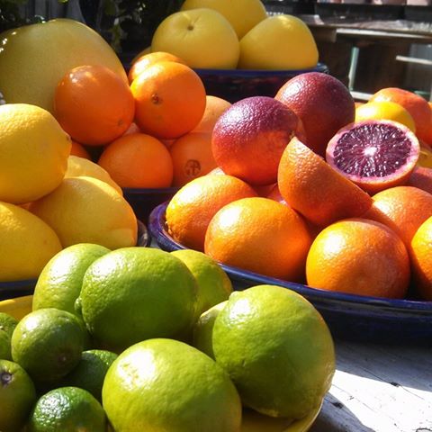 variety of citrus with blood orange cut open copyright BHargrove