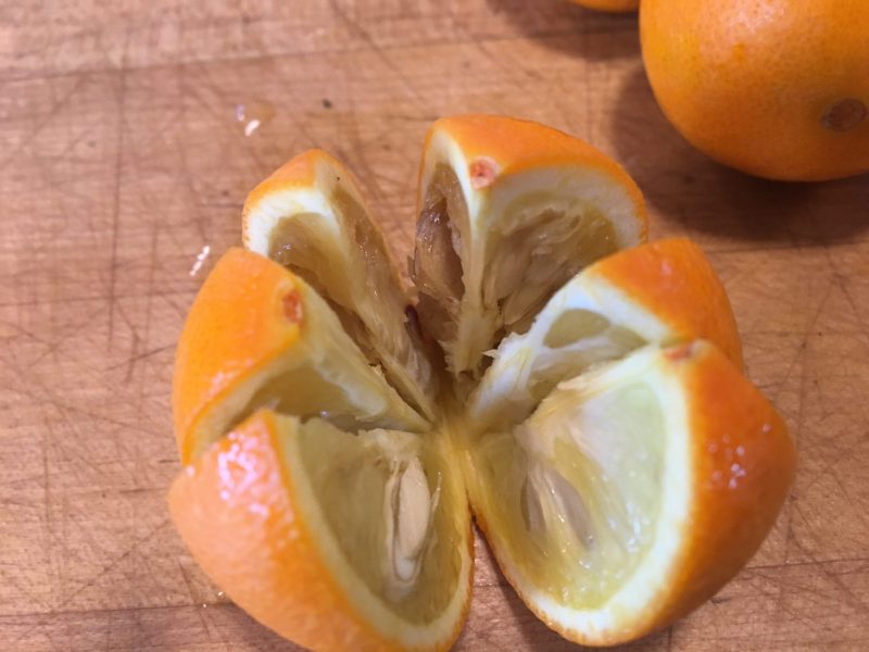 sour orange used to make flavorful blends discussed on savor the southwest
