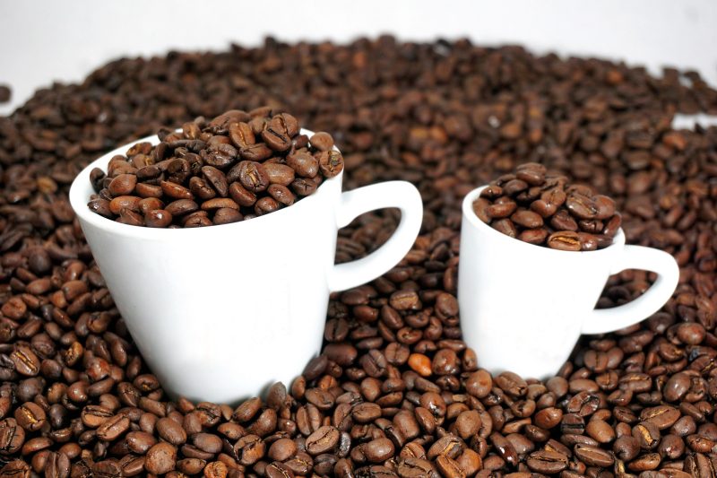 coffee berries roasted