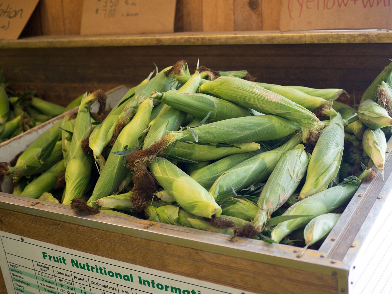 ears of corn in the market
