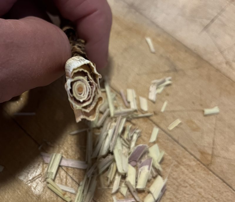 culm of lemongrass sliced crosswise