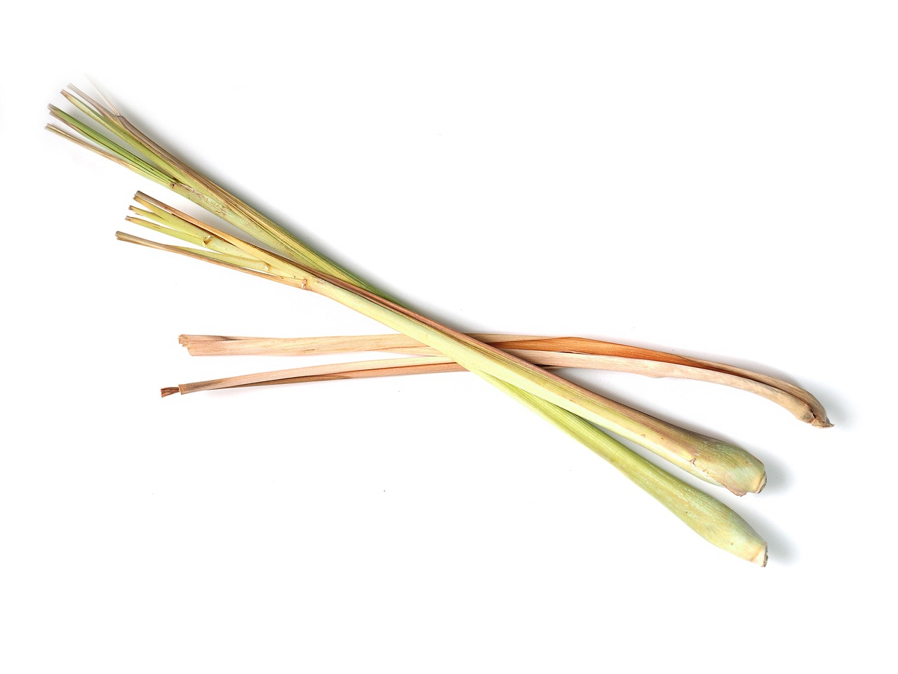 basal stalks of lemongrass ready to cook with
