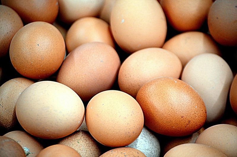 eggs fresh from the hens