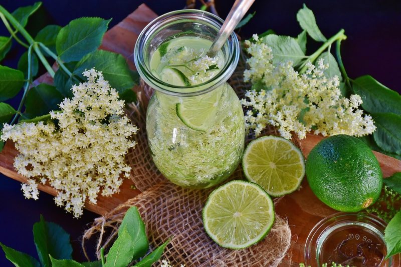 white flowers of elder or elderberry used to make a drink along with lime
