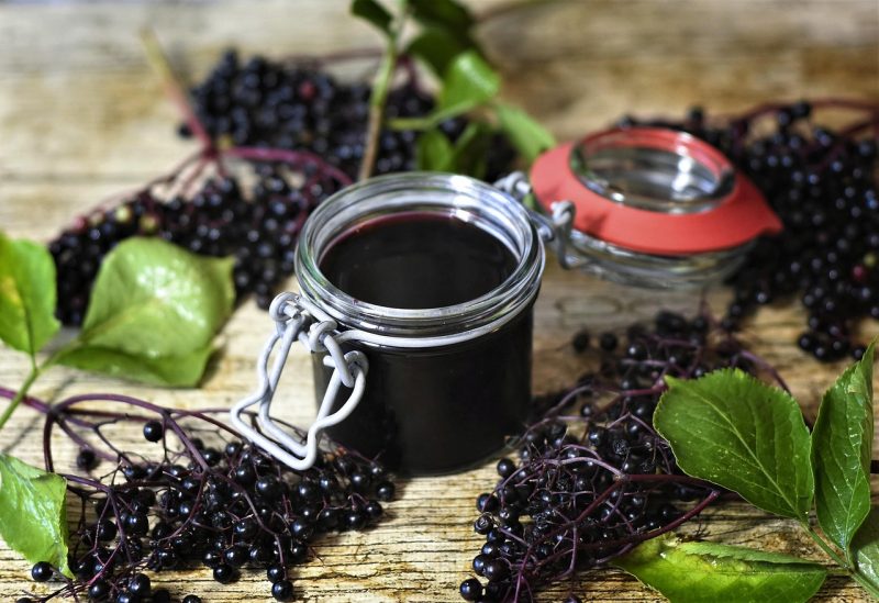 rich dark fruits of the elder or elderberry