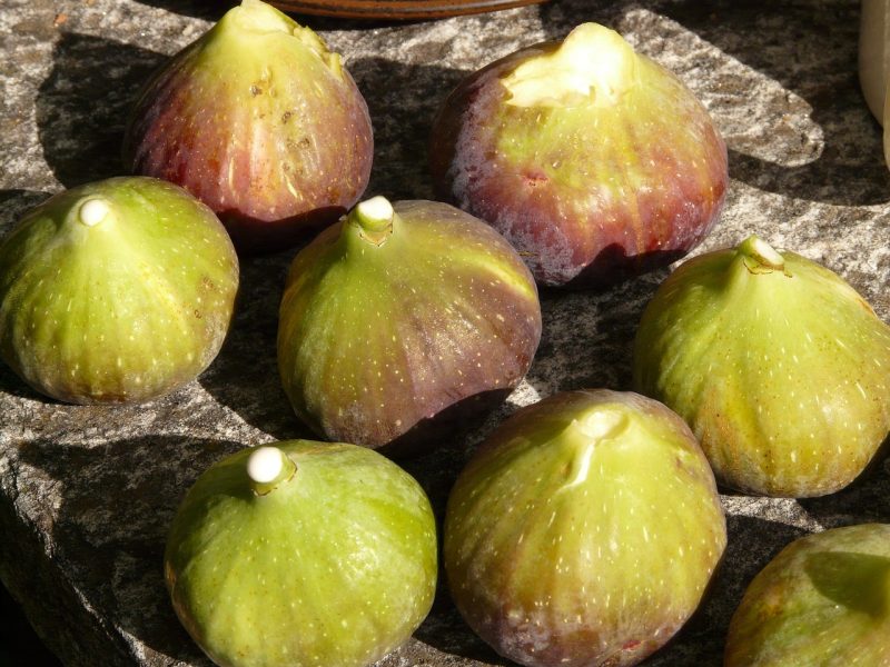 fresh figs ready to eat