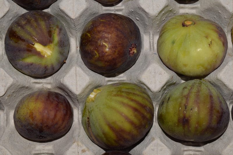 fresh figs ready to freeze