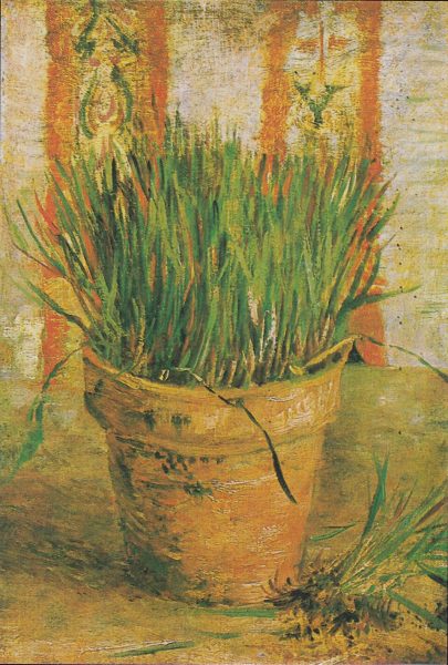 garlic chives by vincent van gogh