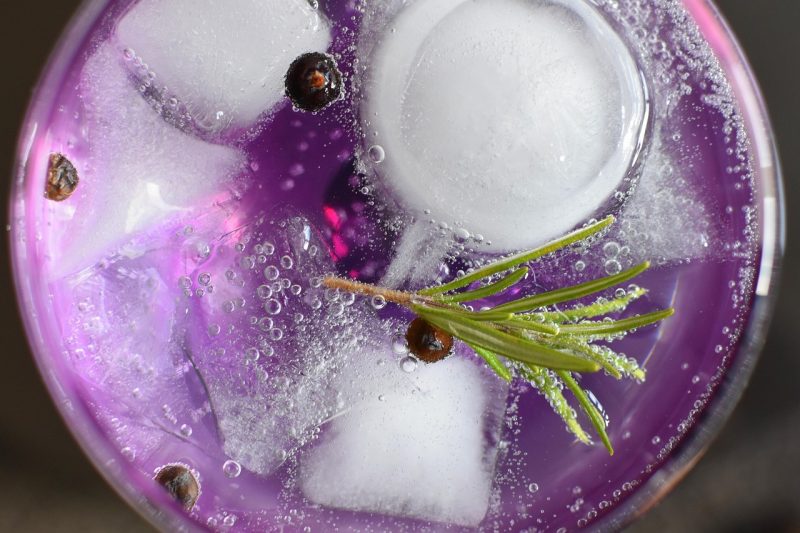 gin and tonic with fresh rosemary