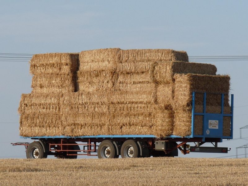 hay wagon with bales of hay