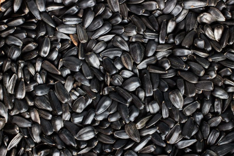 black sunflower seeds inside the hull