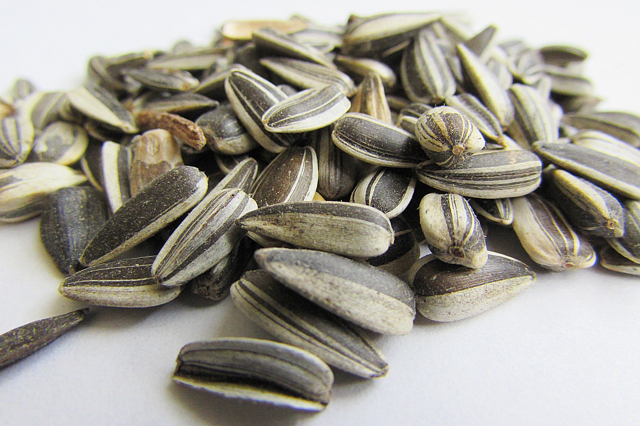 sunflower seeds roasted on savor the southwest
