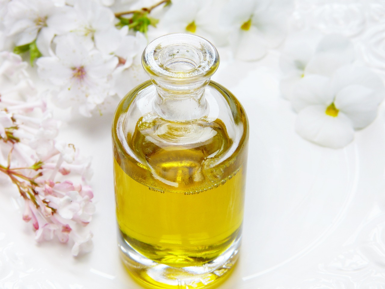 jojoba oil on savor the southwest