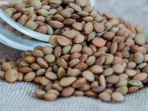 brown lentils read for cooking