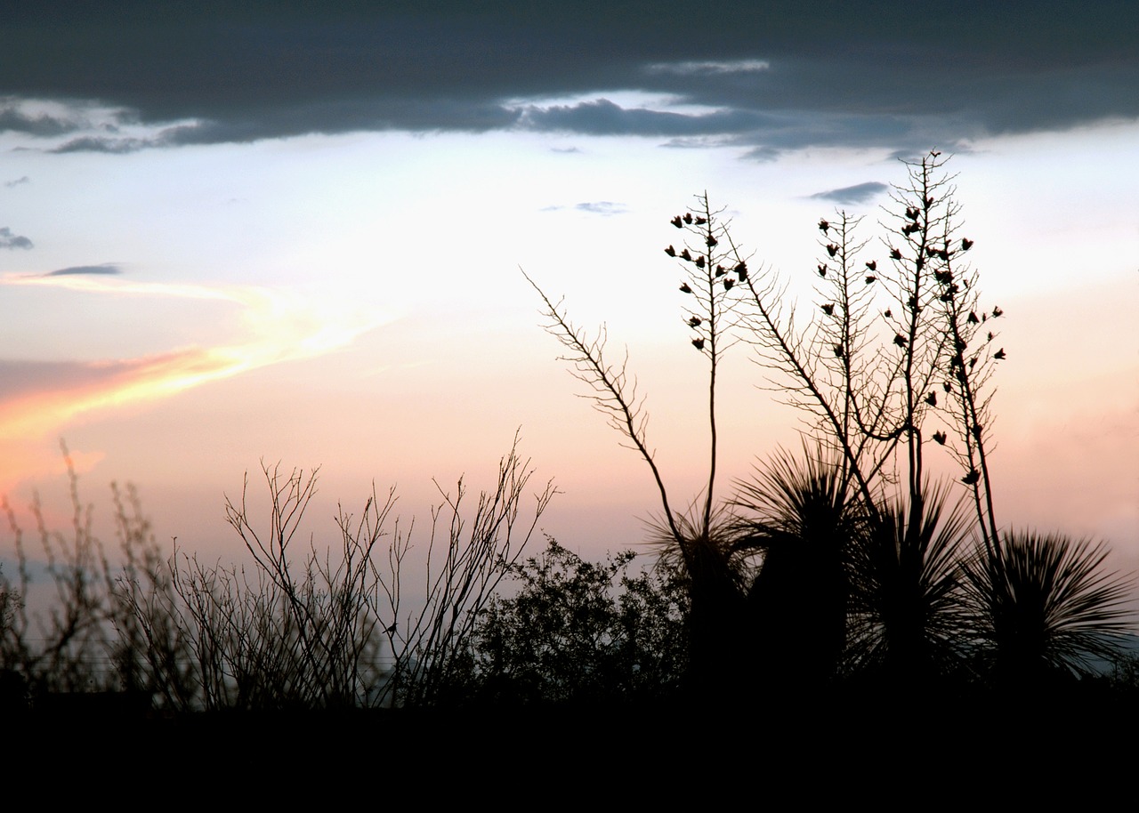 homestead-southwest-savor