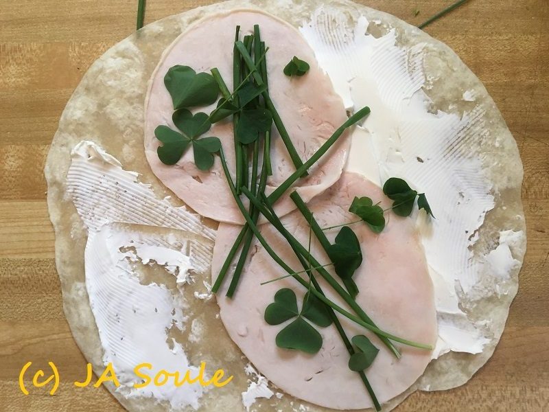 savor-the-southwest-oxalis-oxalates