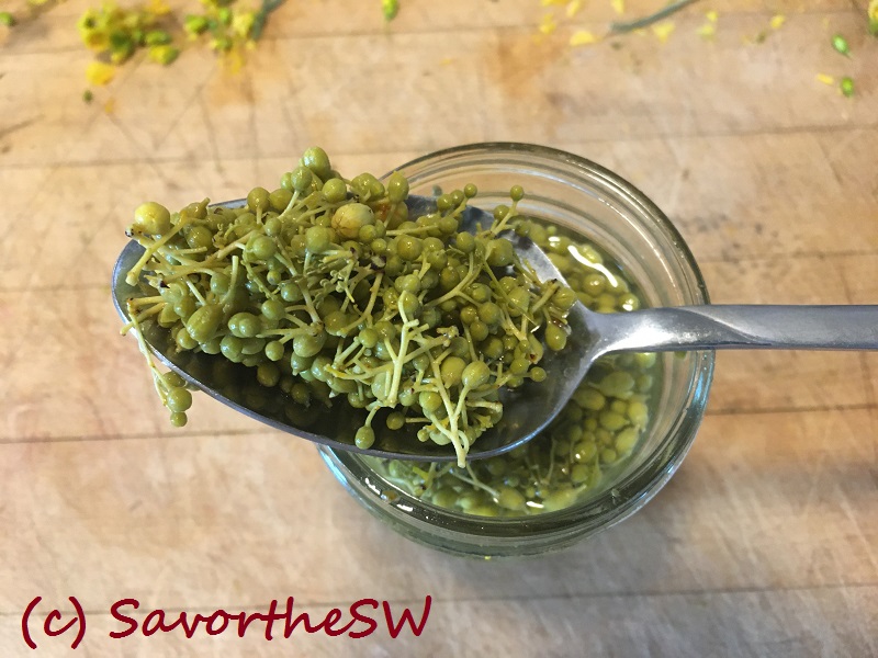 pickled palo verde buds copyright image