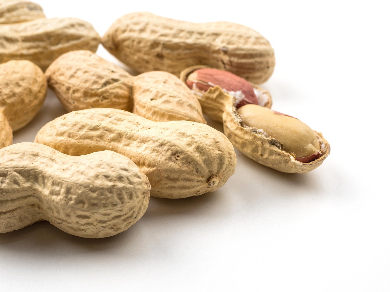 peanuts in the shells
