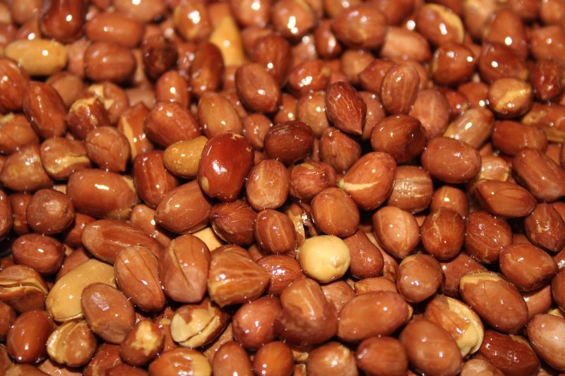 peanuts with red husks still on coated in oil ready to apply the spice blend