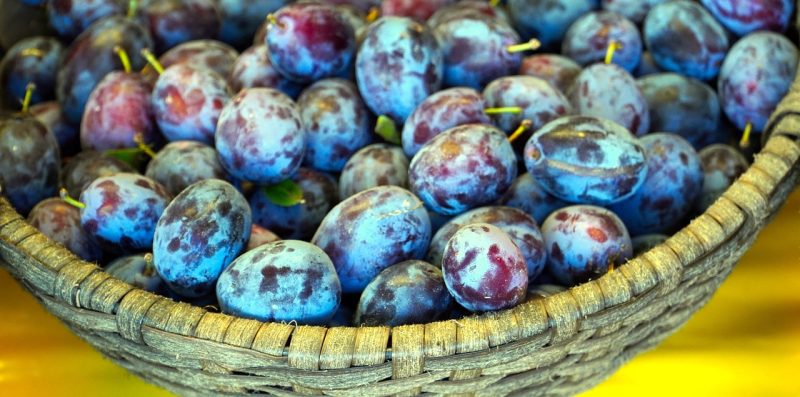 plums in a shallow basket