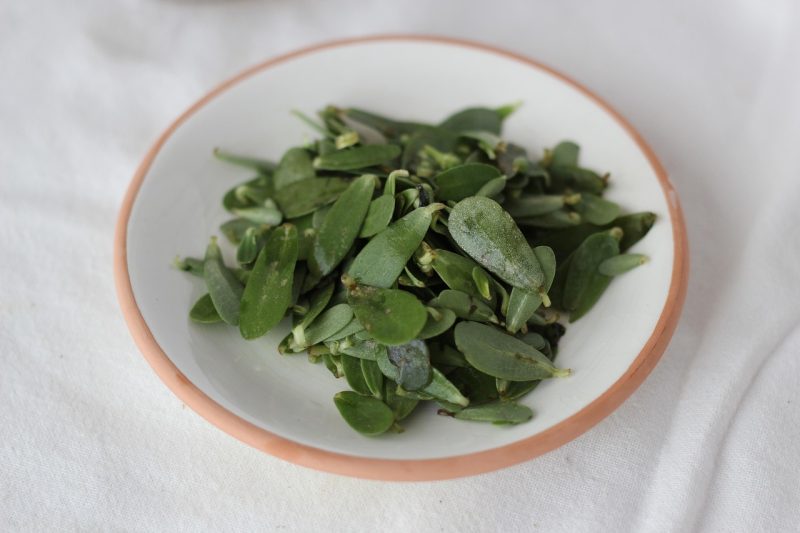 purslane leaves in a bowl