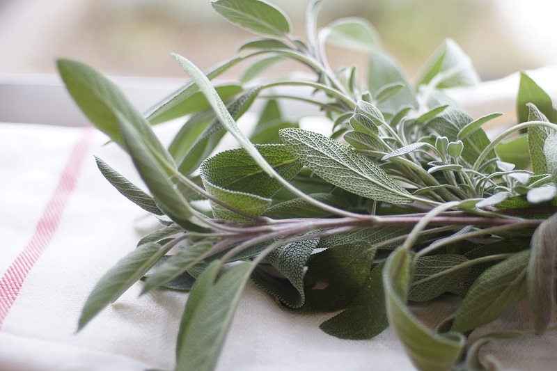 culinary sage as discussed on savor the southwest