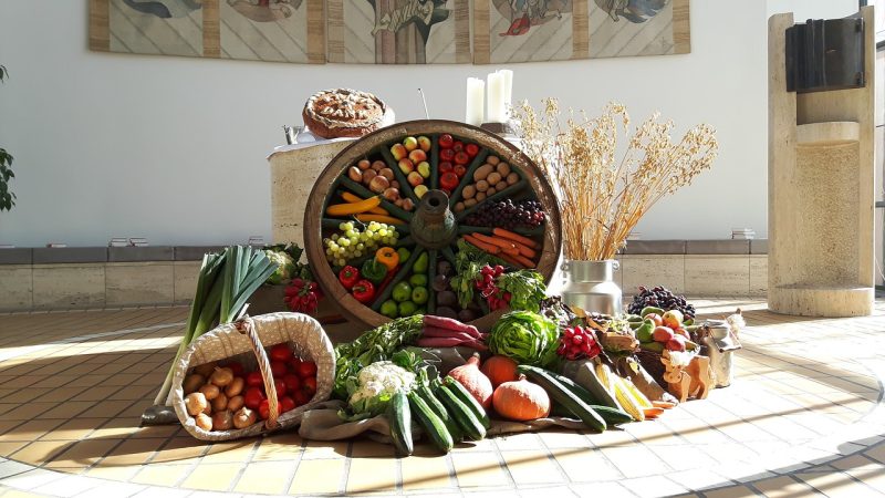 basket of vegetables and fruit to highlight the fact that many different cultures have harvest festivals to give thanks for the bounty of the harvest.