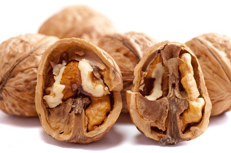 walnut opened on savor the southwest