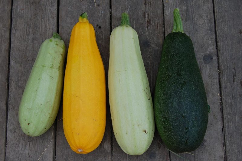 selection of summer squash
