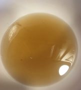 vegetable broth in a white bowl copyright JASoule
